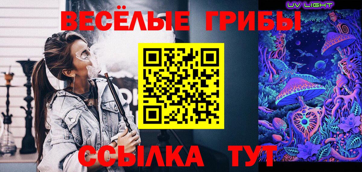 Псилоцибиновые грибы Psilocybe  Вход с VPN  Красный Сулин 